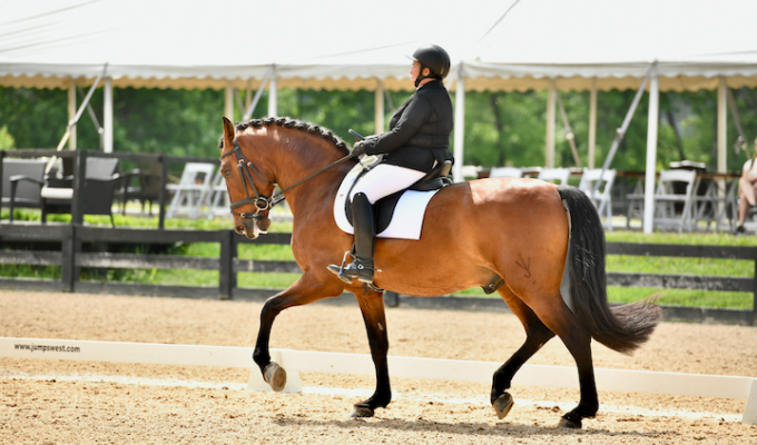 USPRE HIGH POINT AWARD WINNER AT OHIO DRESSAGE SOCIETY COMPETITION
