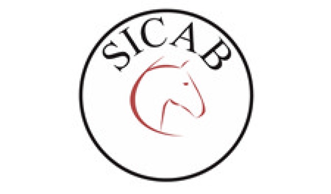 The tentative Program for SICAB 2023 is now available
